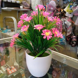 ini adalah Bunga Plastik Aglonema, size: 25 cm, material: Plastic, color: Pink, brand: Dekorasiindonesia, age_group: all ages, gender: unisex