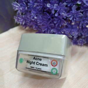 ini adalah Ms Glow Acne Night Cream, brand: Ms Glow, age_group: all ages, gender: female